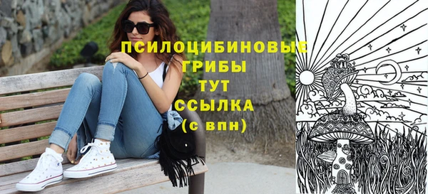 спайс Верея