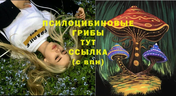 спайс Верея