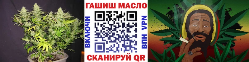 Купить закладки  Городовиковск  ТГК жижа 