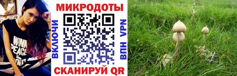 Псилоцибиновые грибы прущие грибы Купить Городовиковск