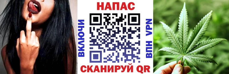 Шишки марихуана конопля  Купить где  Городовиковск 